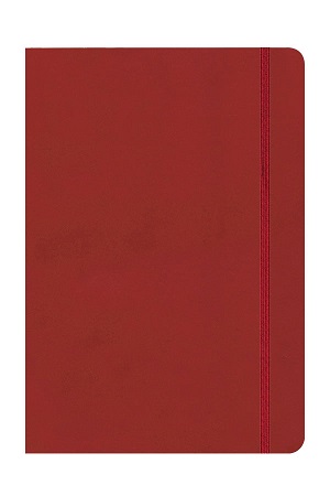 ΣΗΜΕΙΩΜΑΤΑΡΙΟ NEAT ELASTIC 14X21